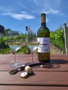 a bottle of wine and two glasses on a wooden table at Apartment Koprivovi in Němčičky