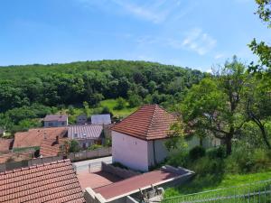 an aerial view of a village with houses and trees at Apartment Koprivovi in Němčičky