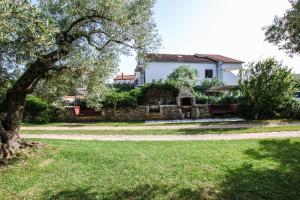 a house with a tree in a yard at Apartments Vuceric in Peroj