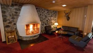 Posezení v ubytování Lærdal Hotel + 37 fotografií