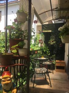 a greenhouse with potted plants and tables and chairs at ANI Apartment in Ohrid