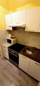 Kuchyňa alebo kuchynka v ubytovaní Apartments Sinković