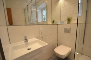 a bathroom with a sink and a toilet and a mirror at Apartment CityXpress TOP 6 by All in One Apartments in Zell am See