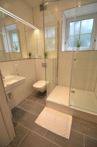 a bathroom with a shower and a toilet and a sink at Apartment CityXpress TOP 6 by All in One Apartments in Zell am See