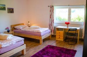 1 Schlafzimmer mit 2 Betten, einem Schreibtisch und einem Fenster in der Unterkunft Ferienwohnung Bad Münder in Bad Münder am Deister