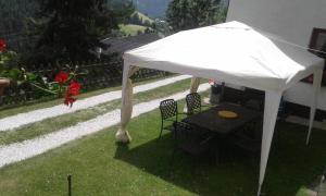 Chalet Catton Two Bedroom Appartement near Bad Kleinkirchheim外面的花园