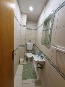 un piccolo bagno con un water e un lavandino di Apartment Marta a Pag Altre 34 foto