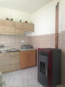 una cocina con frigorífico y fregadero en Guest house Kolasin, en Kolašin 9 fotos más