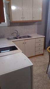eine Küche mit einer Spüle und einer Arbeitsplatte in der Unterkunft Lemontree in Athen