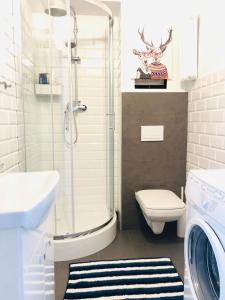 bagno con doccia, servizi igienici e lavatrice. di Legnica Apartament 36m2 Delux 3 a Legnica
