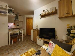 sala de estar con sofá y TV y cocina en North to South apartments, en Izola