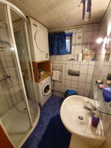 Un pequeño baño con lavabo y ducha. en North to South apartments, en Izola