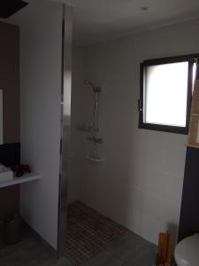 a bathroom with a shower and a window at Au refuge des farfas in Saint-Paul-en-Pareds