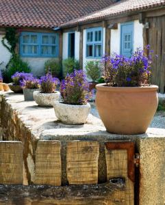 A garden outside Casa do Castelo de Andrade