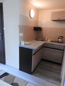 a small kitchen with a sink and a counter at Pokoje Impresja in Węgorzewo