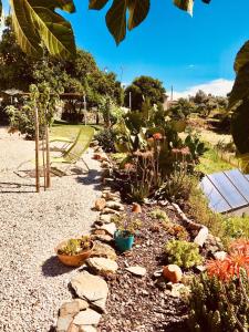 Um jardim no exterior de Quinta Quatro Ventos