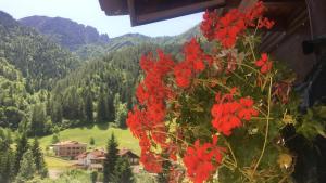 a bunch of red flowers hanging from a building at Acero Rosso in San Colombano