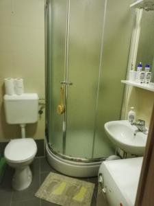 a bathroom with a shower and a toilet and a sink at Apartman Matan, Postira in Postira