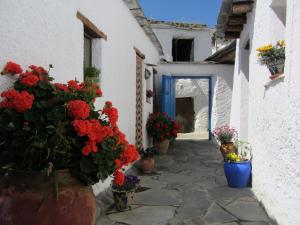 The building in which a panziókat is located