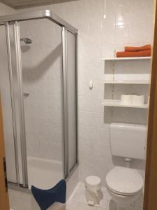 a bathroom with a shower and a toilet in it at Ferienwohnung Becker in Ellenz-Poltersdorf +6 photos