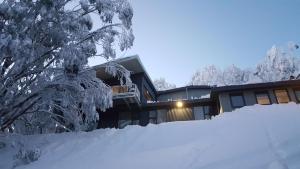 a house in the snow with snow covered trees at Diana Alpine Lodge in Falls Creek