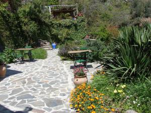 A garden outside Sierra y Mar