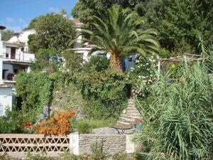 A garden outside Sierra y Mar