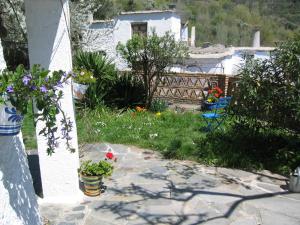 A garden outside Sierra y Mar