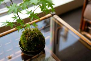 Gallery image of Hotel New Nishino in Kagoshima +133 photos