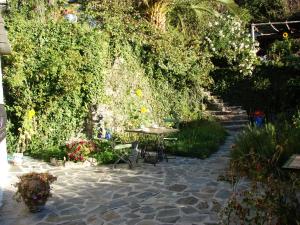 A garden outside Sierra y Mar