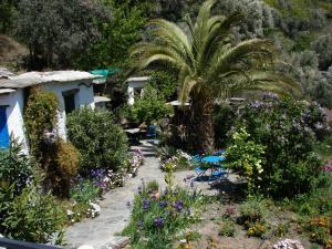 A garden outside Sierra y Mar