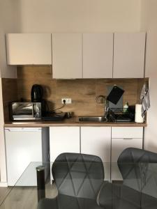Kuchyňa alebo kuchynka v ubytovaní Apartament przy Parku Zdrojowym