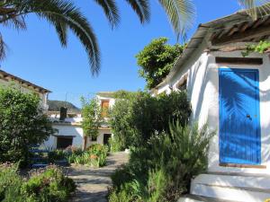 A garden outside Sierra y Mar