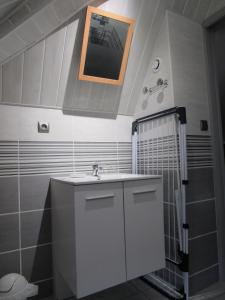 un bagno con lavandino e doccia di LES 4 VENTS a Saint-Berain-sur-Dheune