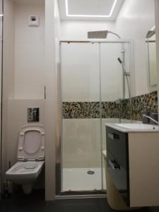 a bathroom with a shower and a toilet and a sink at Apartament_20 in Dziwnówek