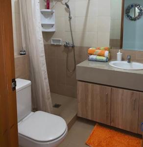 雅加達的住宿－Devmoon apartment - A Big & beautiful unit in the South of Jakarta，浴室配有卫生间、盥洗盆和淋浴。