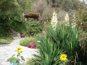 A garden outside Sierra y Mar