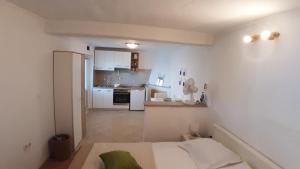 Kuchyň nebo kuchyňský kout v ubytování Studio Apartment MojMir