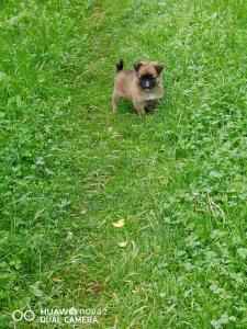 Φωτογραφία από το άλμπουμ του Nora's guesthouse σε Zhabeshi