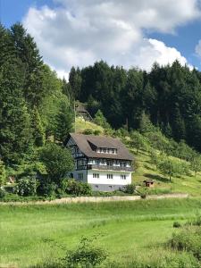a large white house on a hill in a field at Ferienwohnung Hesselbach in Oberkirch