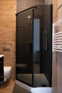 a shower with a glass door in a bathroom at Noclegi Sebastian w Centrum in Ustrzyki Dolne
