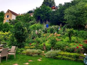 un jardín con un montón de flores y plantas en CASA SPERANTEI, en Sighişoara