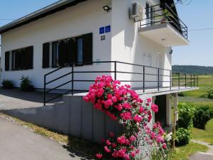 ein Gebäude mit rosa Blumen auf der Seite in der Unterkunft VIP Apartments & Room in Rakovica