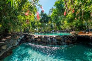 uma piscina com cascata e árvores ao fundo em Thala Beach Nature Reserve em Oak Beach