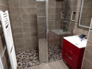 La salle de bains est pourvue d'une douche et d'une armoire rouge. dans l'établissement Bel appartement T2 près du lac avc un parking privé, à Bordeaux