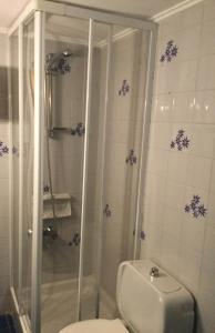 a bathroom with a shower and a toilet in it at Lefkada Beachfront Apartment in Nikiana +21 photos