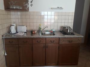 Kuchyň nebo kuchyňský kout v ubytování Apartments Jadranka Povile