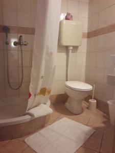 Koupelna v ubytování Apartments Jadranka Povile