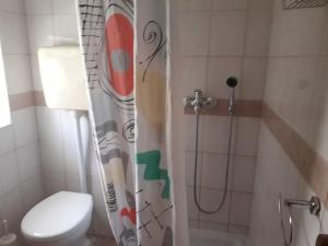La salle de bains est pourvue d'une douche et de toilettes. dans l'établissement Apartments Jadranka Povile, à Novi Vinodolski