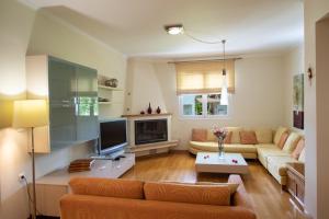 ein Wohnzimmer mit einem Sofa und einem TV in der Unterkunft Violet Luxury Villa in Lefkada Town